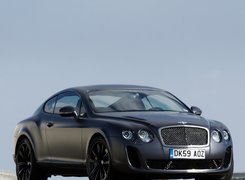 Bentley Continental GTC, Reflektory