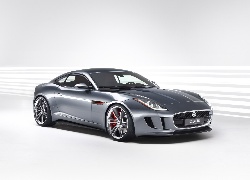 Jaguar C-X16, Grafika