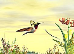 Koliber, Kwiaty, 3D
