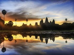 Świątynie, Angkor, Dżungla, Kambodża
