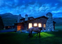Koń, Dom, Noc, Cabin, Montana