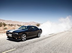 Dodge Challenger STR8, Muscle, Car