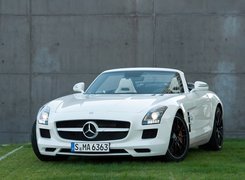 Mercedes-Benz SLS Roadster AMG, Maska, Znaczek