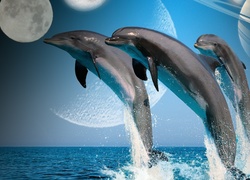 Delfiny, Woda, Planety