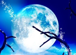 Księżyc, Gałęzie, Gwiazdy