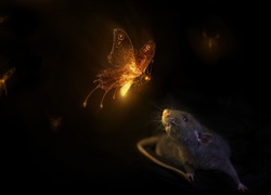Płonący, Motyl, Mysz