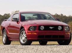 Wiśniowy,  Ford Mustang