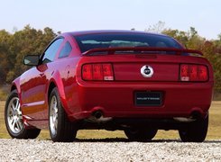 Ford Mustang, Tył