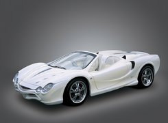 Mitsuoka Orochi