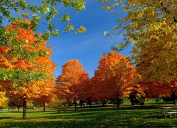 Jesień, Park, Drzewa, Ławka