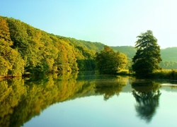 Las, Jezioro, Odbicie
