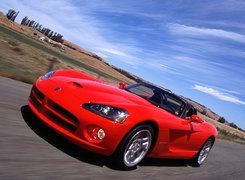 Doge, Viper