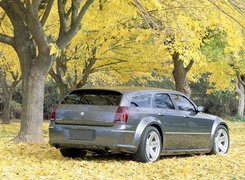 Dodge Magnum, Drzewa