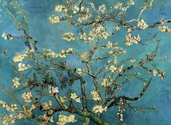 Vincent Van Gogh, Almond, Branches, In, Bloom