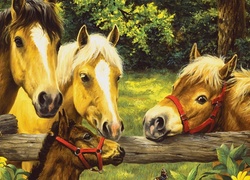 Konie, Kucyki, Las