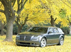 Dodge Magnum, Drzewa