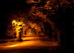 Droga, Drzewa, Lampa, Oświetlenie