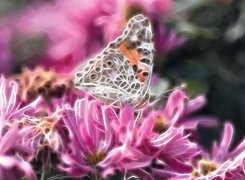 Kwiaty, Motyl, Fractalius