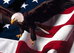 Flaga, USA,  Bielik amerykański