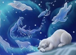 Śpiący, Niedźwiedź, Polarny, Sen, Grafika