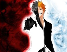 Ichigo, Bleach, Kontrast