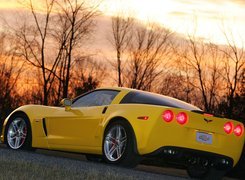 Żółta, Corvette