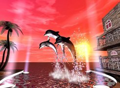 Delfiny, 2D