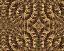Spirale, Fraktale