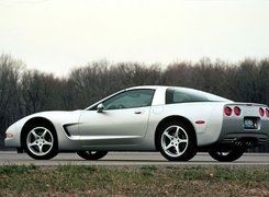 Srebrny,   Corvette