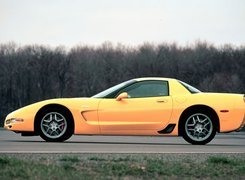 Corvette