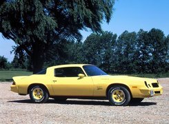 Żółty, Chevrolet Camaro, Z28