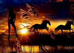 Konie, Zachód, Słońca, Kobieta
