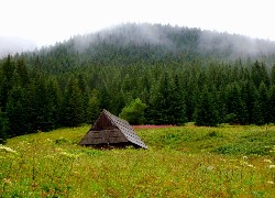 Przyroda, Krajobraz, Góry, Tatry, Polana, Szałas