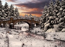 Zima, Drzewa, Śnieg, Most