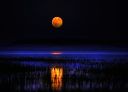 Noc, Jezioro, Księżyc