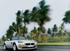 BMW Z8, Palmy