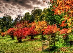 Jesień, Park