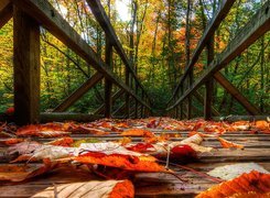 Jesień, Liście, Most