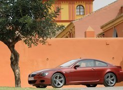 Bordowa, BMW 6, drzewo