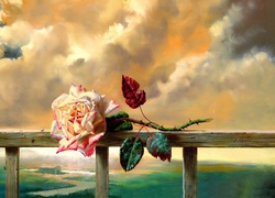 Róża, Chmury