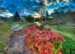 Park, Jezioro, Ławka