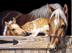 Koń, Kot, Źrebie
