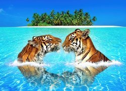Tygrysy, Woda, Wyspa