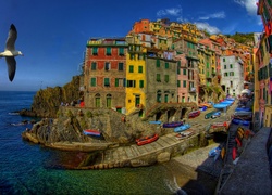 Domy, Riomaggiore, Włochy