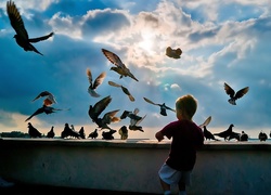 Dziecko, Ptaki, Niebo