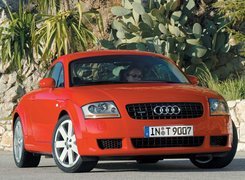 Czerwone, Audi TT