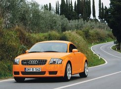 Audi TT, Ulica