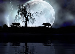 Tygrysy, Drzewo, Noc, Księżyc