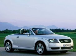 Audi TT, Cabrio, Zielona Łąka