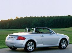 Cabrio, Audi TT